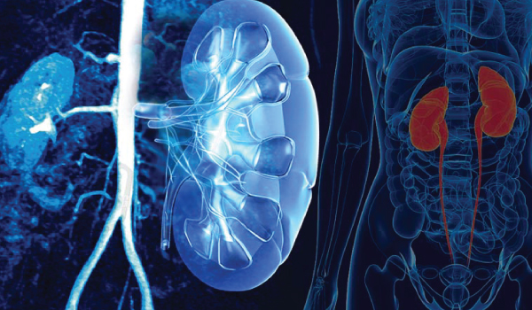 Urology Welcome Image